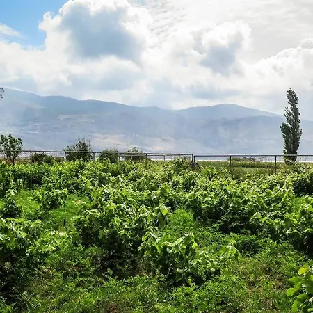 Rania: ευάερη με θέα τη θάλασσα