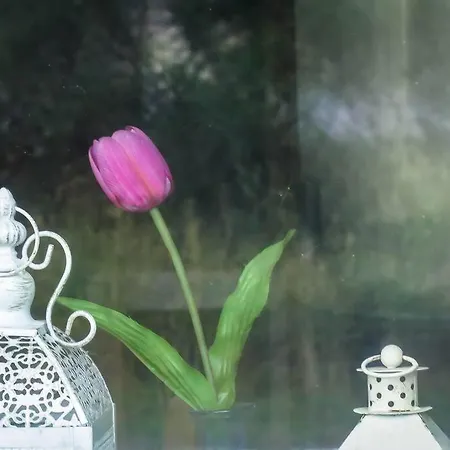 Rania: ευάερη με θέα τη θάλασσα * Lixouri